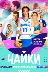  Чайки  смотреть онлайн в хорошем качестве